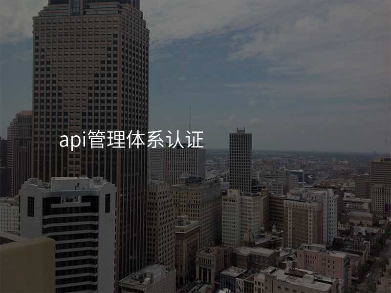 api管理体系认证