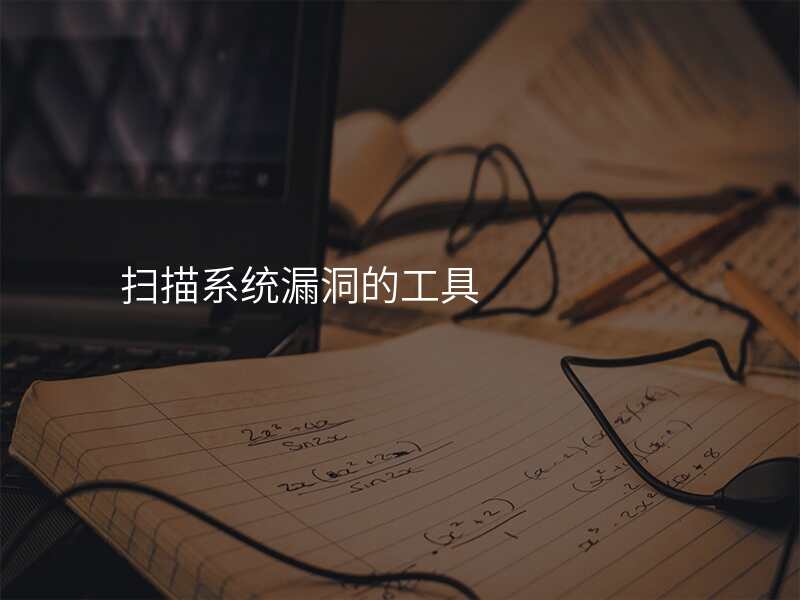 扫描系统漏洞的工具