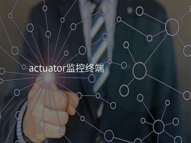 actuator监控终端