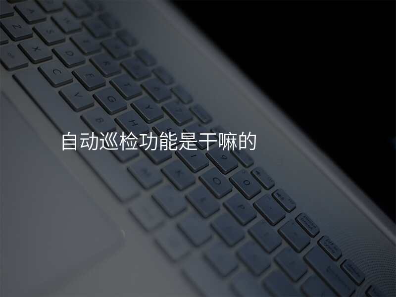 自动巡检功能是干嘛的