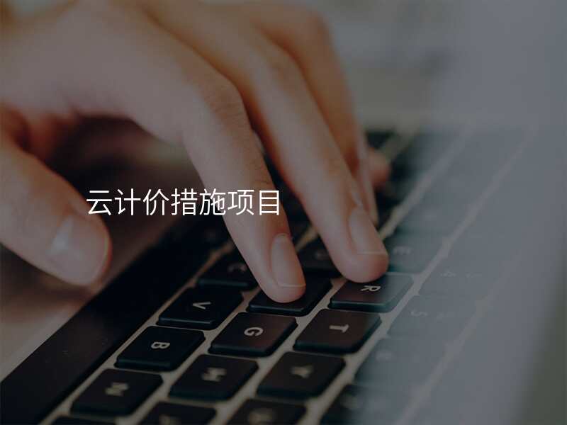 云计价措施项目